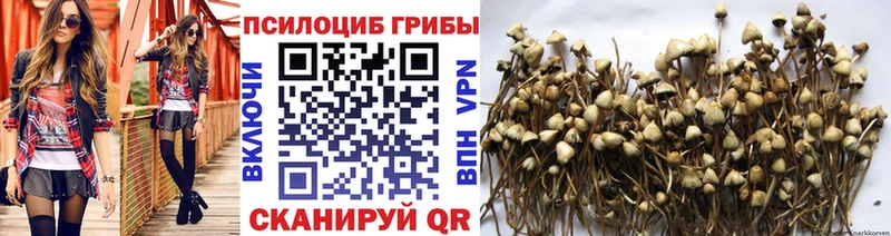 Галлюциногенные грибы GOLDEN TEACHER  что такое наркотик  Курган 
